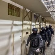 mute 7