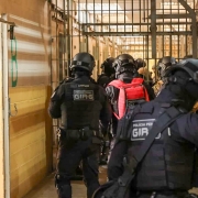 WhatsApp Image 2026 01 30 at 10 31 51