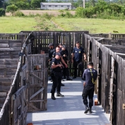 WhatsApp Image 2026 01 30 at 10 31 49 (3)