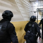 WhatsApp Image 2026 01 30 at 10 31 49 (2)